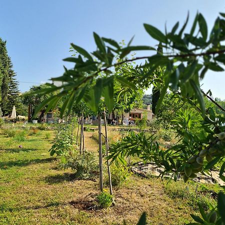La Ferme Constantin Villa Fayence Ngoại thất bức ảnh