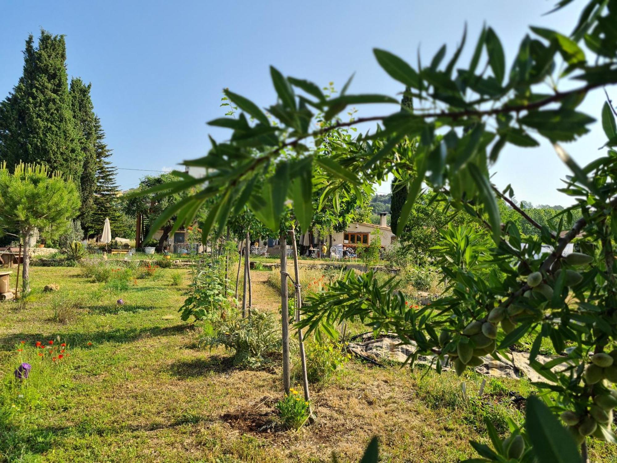 La Ferme Constantin Villa Fayence Ngoại thất bức ảnh