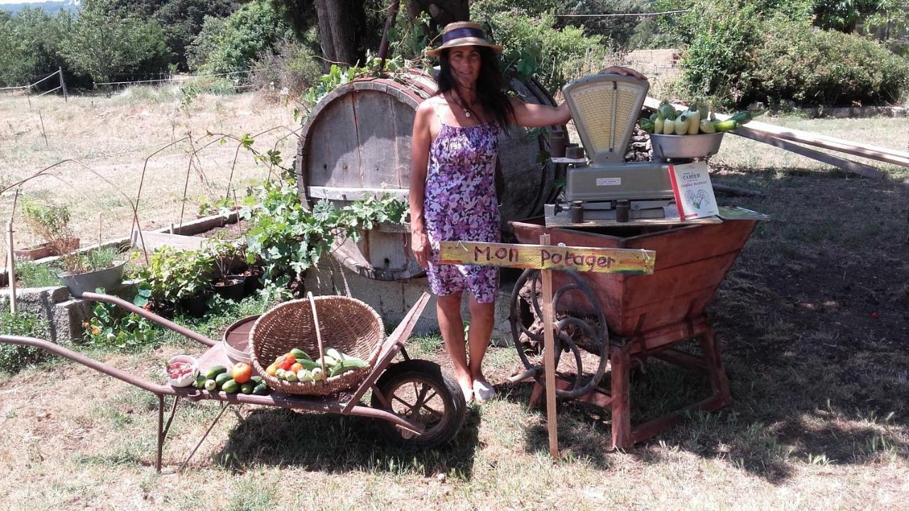 La Ferme Constantin Villa Fayence Ngoại thất bức ảnh